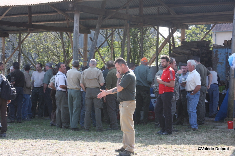 Field Erstein 09 (79).JPG